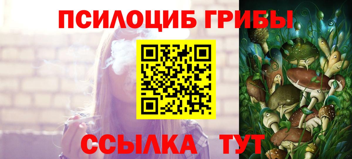 Энгельс  купить наркотики сайты  Вход с VPN  Псилоцибиновые грибы Magic Shrooms  Галлюциногенные грибы Magic Shrooms 